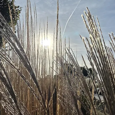 Apartmán Apartmenthaus-usedom Famstopp 